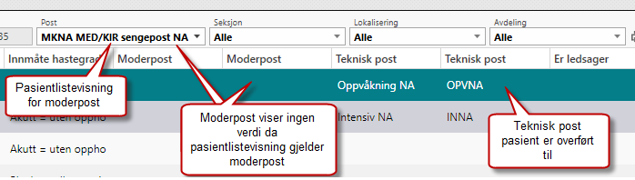 Pasientlistevisning moderpost